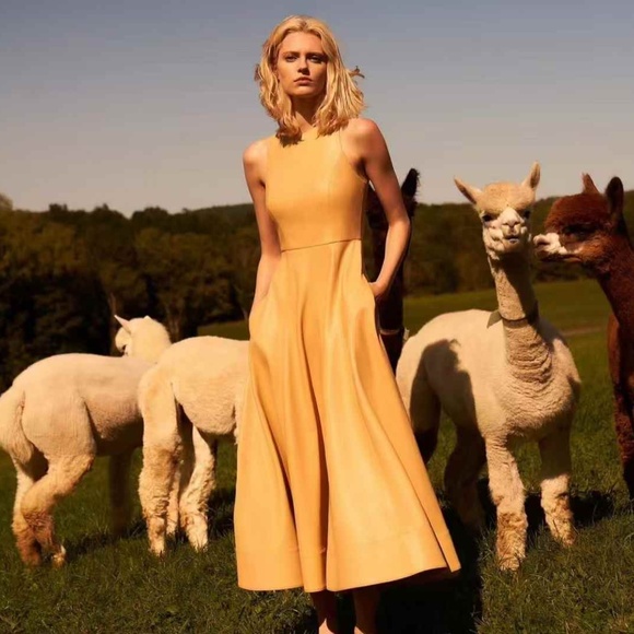 BEST Alexis England Midi Dress - Saddle Tan Beige Cocktail Party Casual Formal - Picture 2 of 8